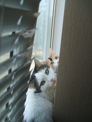 DSCF1025.JPG