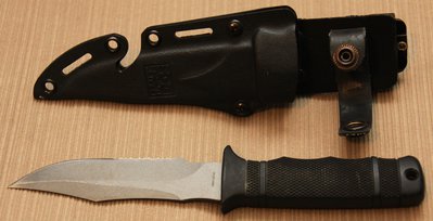 SOG Seal Pup.jpg