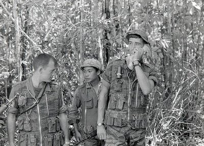 19597909.jpg